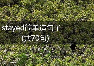 stayed简单造句子(共70句)