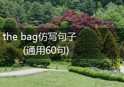 the bag仿写句子(通用60句)