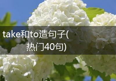 take和to造句子(热门40句)