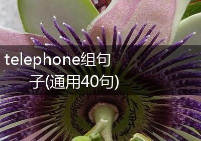 telephone组句子(通用40句)