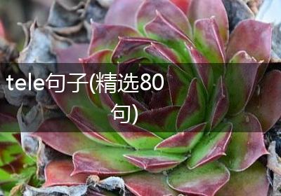 tele句子(精选80句)