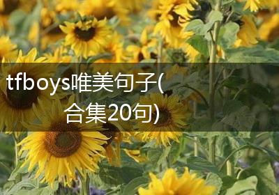 tfboys唯美句子(合集20句)