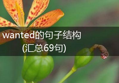 wanted的句子结构(汇总69句)