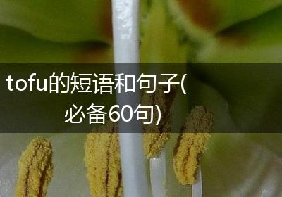 tofu的短语和句子(必备60句)