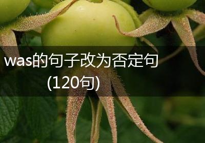 was的句子改为否定句(120句)