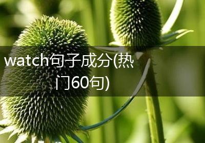 watch句子成分(热门60句)