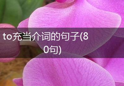 to充当介词的句子(80句)
