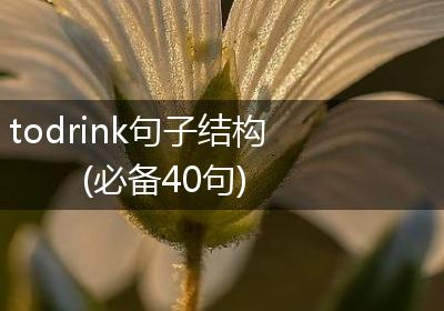 todrink句子结构(必备40句)