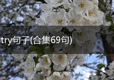 try句子(合集69句)