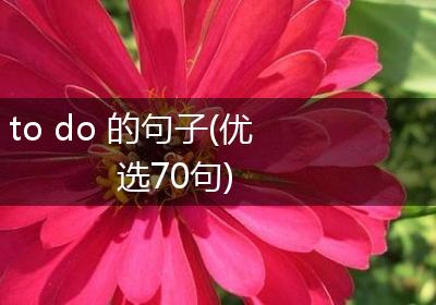 to do 的句子(优选70句)