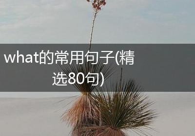 what的常用句子(精选80句)