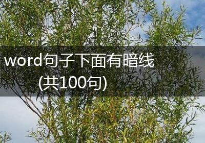 word句子下面有暗线(共100句)