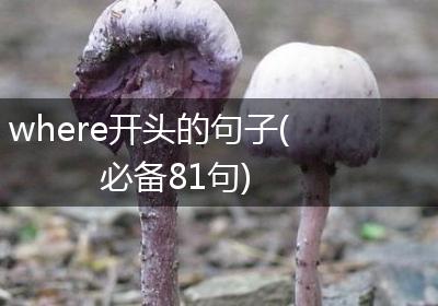 where开头的句子(必备81句)
