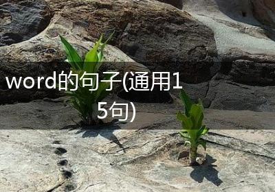 word的句子(通用15句)