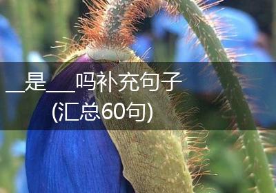 __是___吗补充句子(汇总60句)