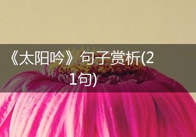 《太阳吟》句子赏析(21句)
