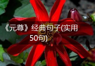《元尊》经典句子(实用50句)