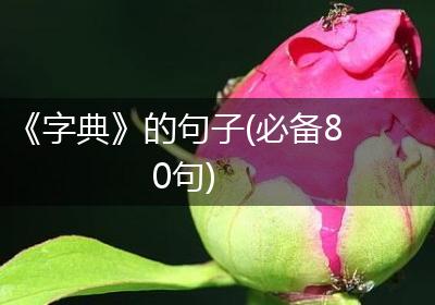 《字典》的句子(必备80句)