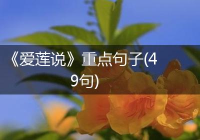 《爱莲说》重点句子(49句)
