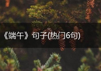 《端午》句子(热门6句)