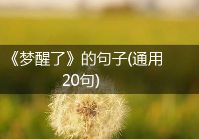 《梦醒了》的句子(通用20句)