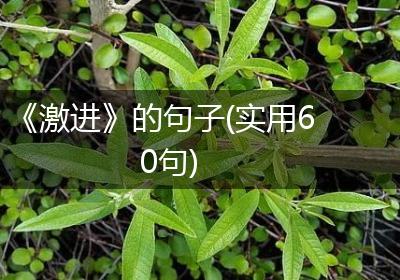 《激进》的句子(实用60句)