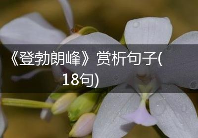 《登勃朗峰》赏析句子(18句)