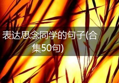 表达思念同学的句子(合集50句)