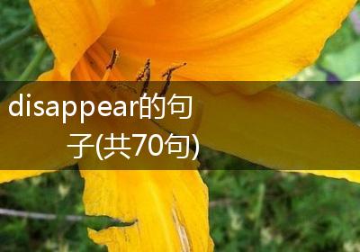 disappear的句子(共70句)