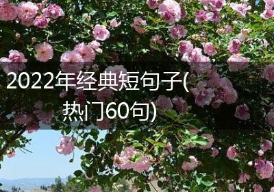 2022年经典短句子(热门60句)