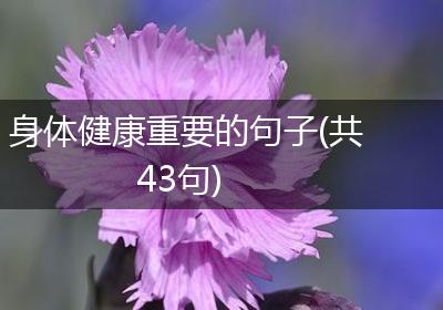 身体健康重要的句子(共43句)