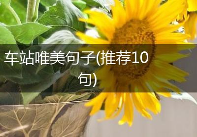 车站唯美句子(推荐10句)