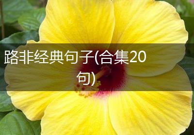 路非经典句子(合集20句)