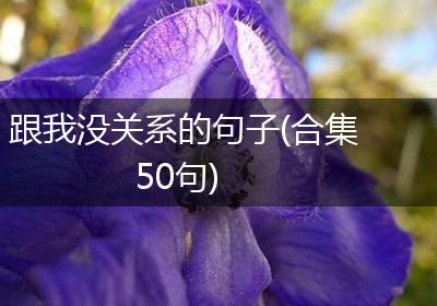 跟我没关系的句子(合集50句)