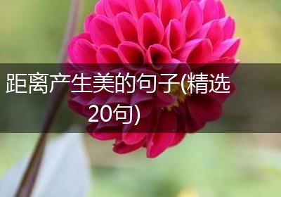 距离产生美的句子(精选20句)
