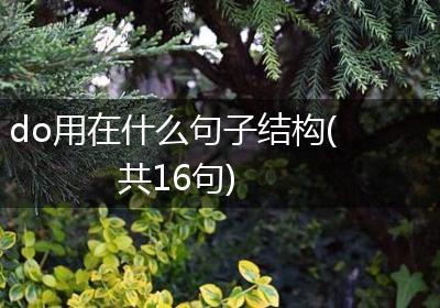 do用在什么句子结构(共16句)