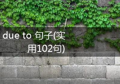 due to 句子(实用102句)