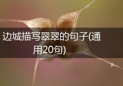 边城描写翠翠的句子(通用20句)