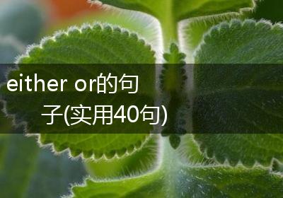 either or的句子(实用40句)