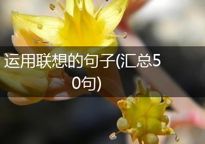 运用联想的句子(汇总50句)