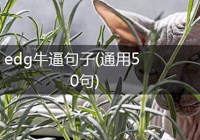 edg牛逼句子(通用50句)