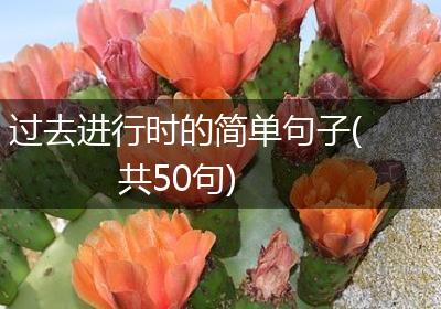 过去进行时的简单句子(共50句)