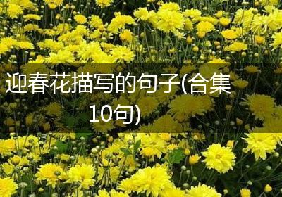 迎春花描写的句子(合集10句)