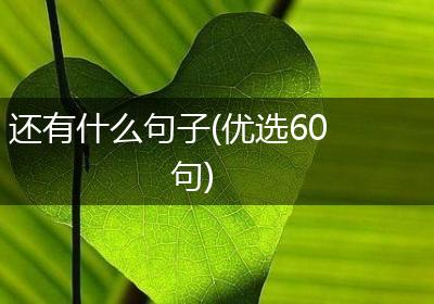 还有什么句子(优选60句)