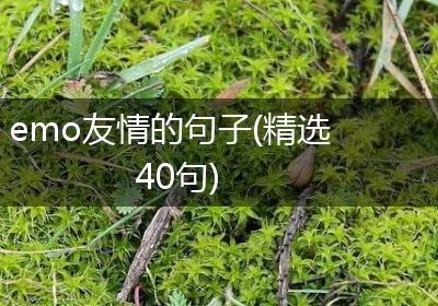 emo友情的句子(精选40句)