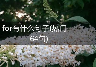 for有什么句子(热门64句)