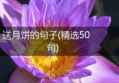 送月饼的句子(精选50句)