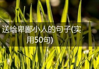 送给卑鄙小人的句子(实用50句)