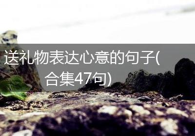 送礼物表达心意的句子(合集47句)