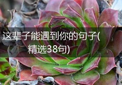 这辈子能遇到你的句子(精选38句)
